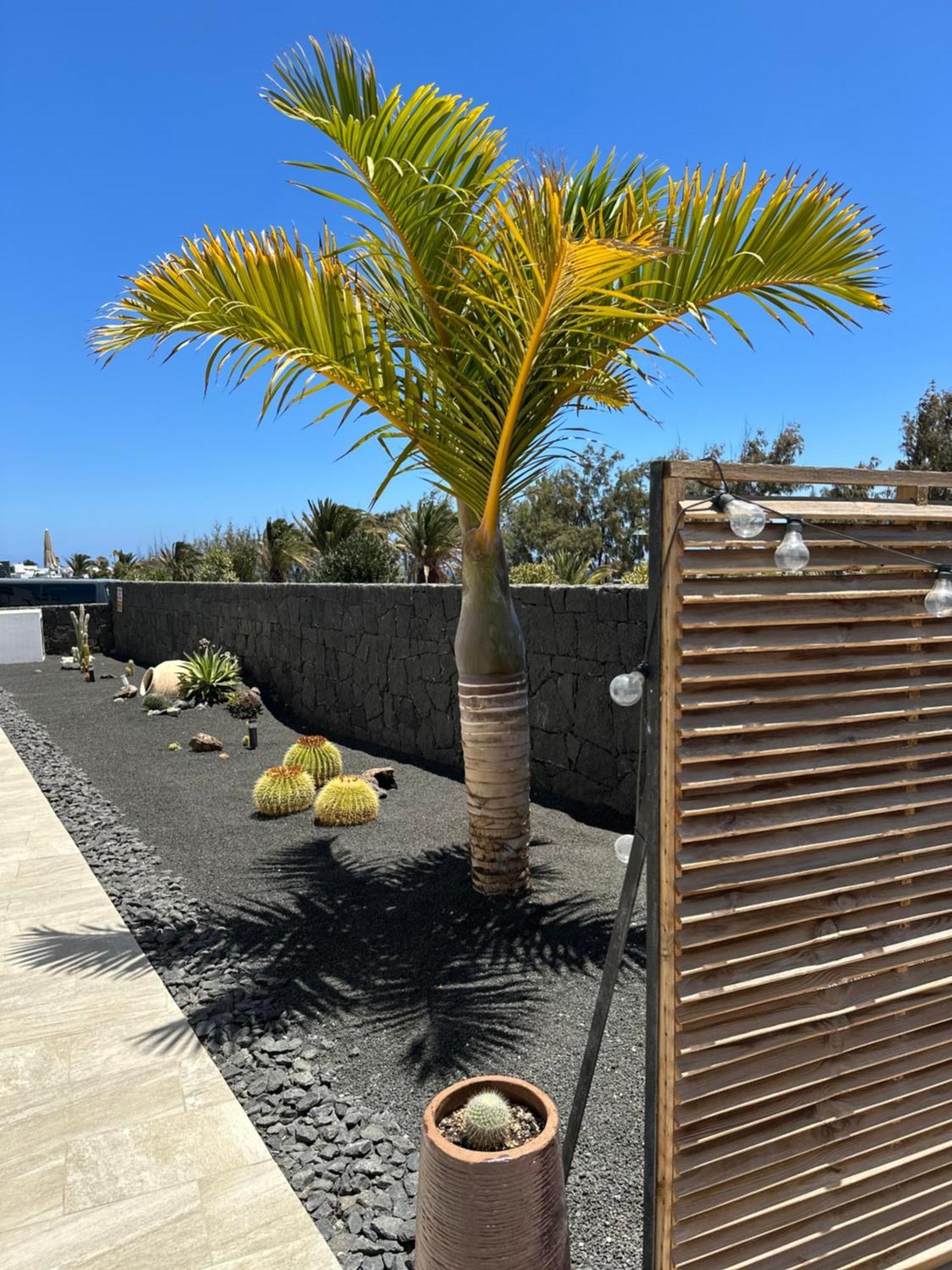 Casa Volcanes Costa Teguise Exterior photo